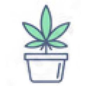 Growing environment with optimal lighting and temperature