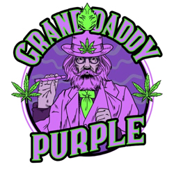 Grand daddy Purple